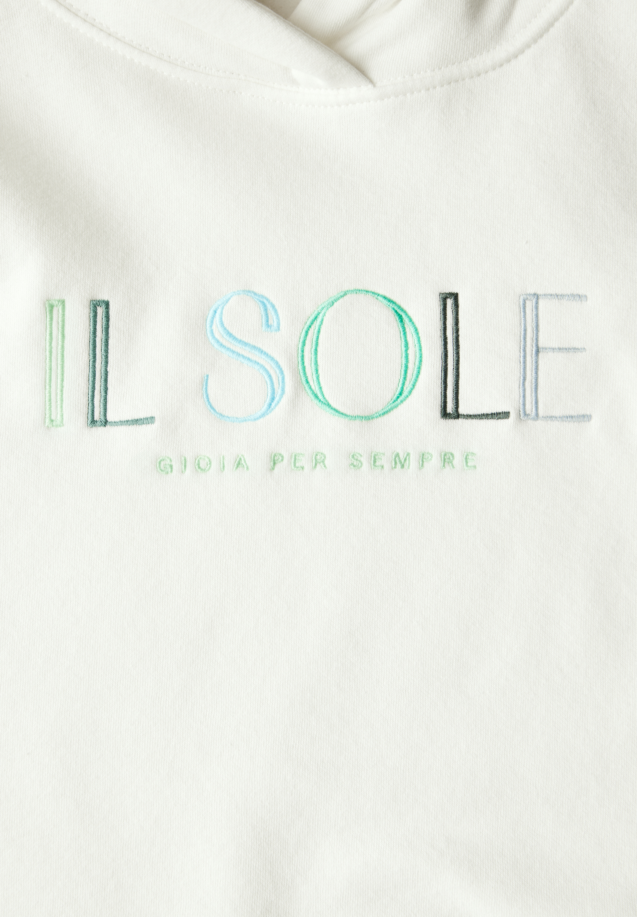 Hoodie mit Stickerei