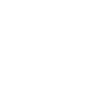 Opus Opus